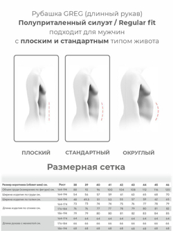 Сорочка GREG (Германия) 510/199/ALT/Z_V "База"