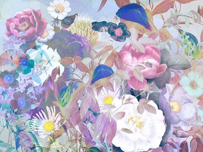 Дизайнерские обои Wall Street Paleo