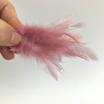 Перья петуха ежевика 2 сорт 20 шт.