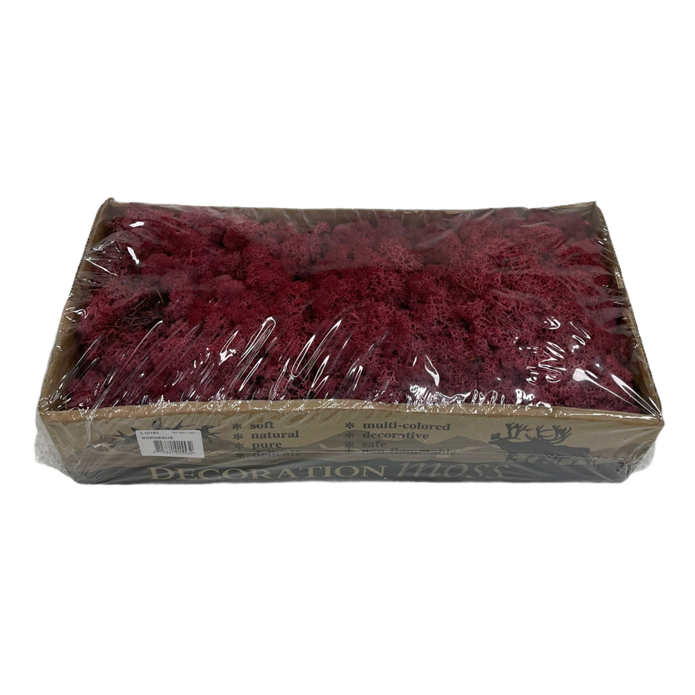 Мох ягель "Decoration" вишнёвый