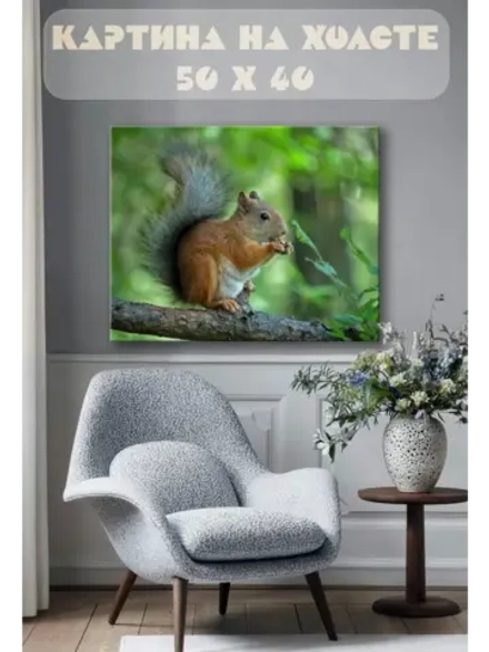 Картина на стену 40 X 50 Белка