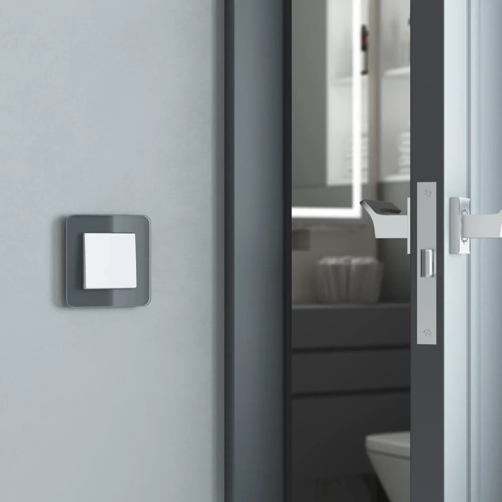 Выключатель одноклавишный проходной (белый матовый) W1112061