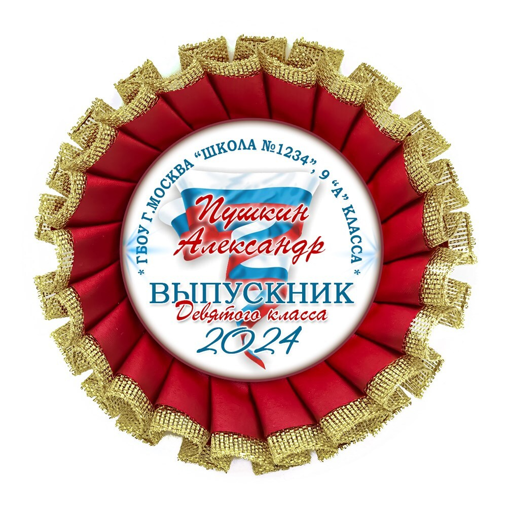 Розетка Premium. Выпускник 9 класса. Арт. 7296