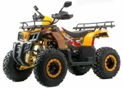 Квадроцикл Motoland 200 ALL ROAD X (баланс. вал)