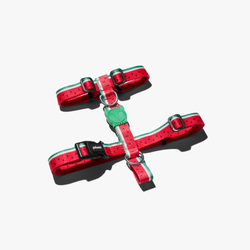 Шлейка LOLA Zee.Dog