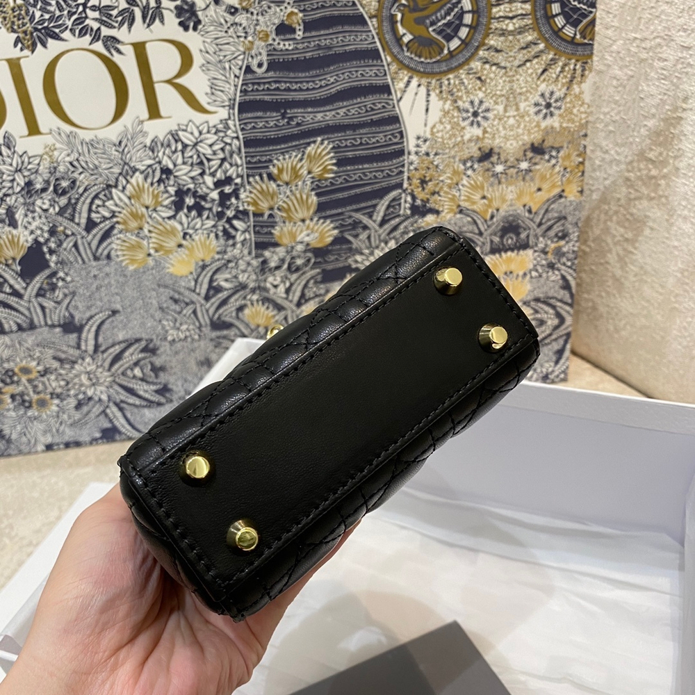 Christian Dior Lady Dior Micro