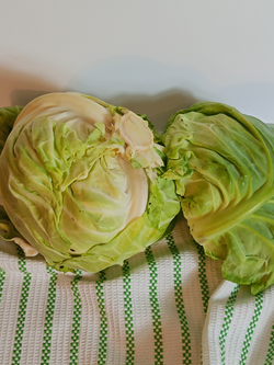 Капуста молодая