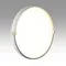 7646/ELN PALE SN 189 Светильник пластик/золотой LED 76Вт 3000/4000/6000К D490 IP43 CCT OLIDI WHITE