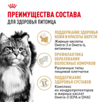 Royal Canin Siberian Adult Корм сухой для взрослых кошек породы Сибирская 0,4 кг