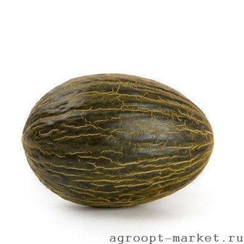 Кьяно F1 семена дыни (Sakata / Саката)