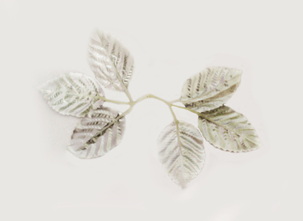 Лист розы 6 листьев/ серебро