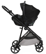 Коляска Chicco Seety 2 в 1 Florence Beige