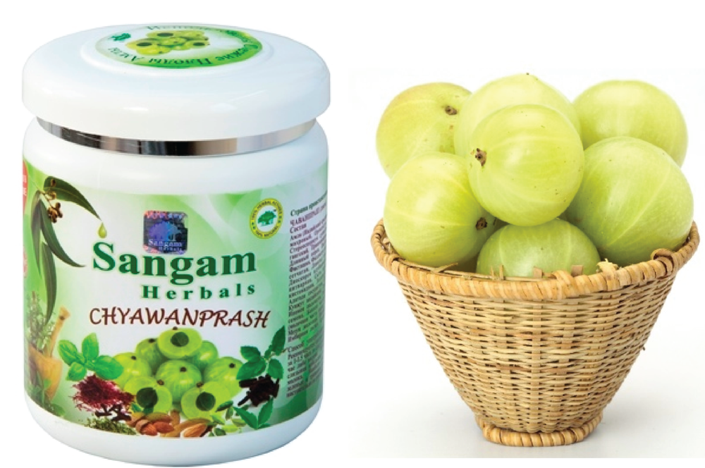 Чаванпраш (chyawanprash) для иммунитета Sangam, 500 г