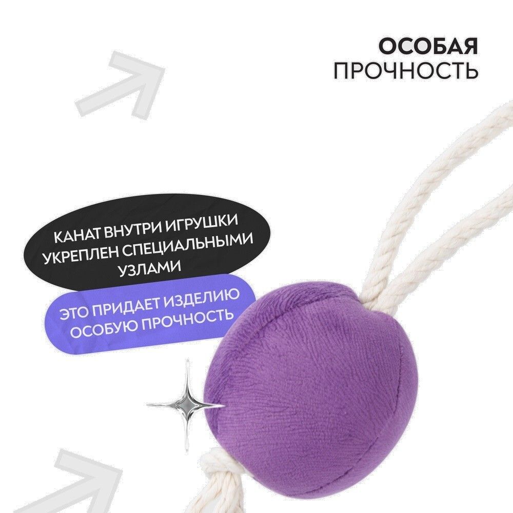 Игрушка Mr.Kranch для собак мелких и средних пород Шарик новогодний с канатом 20х9х9 см, фиолетовый Игрушка Mr.Kranch для собак мелких и средних пород Шарик новогодний с канатом 20х9х9 см, фиолетовый