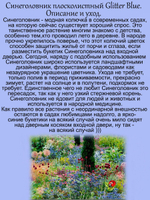 Синеголовник плосколистный, эрингиум чертогон чертополох многолетний