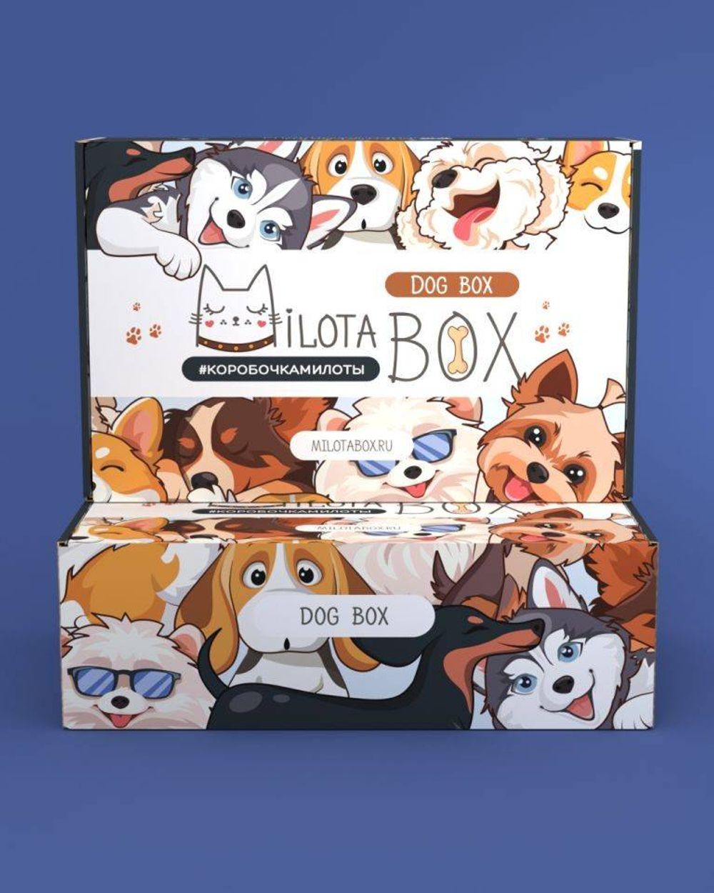 MilotaBox "Dog Box"