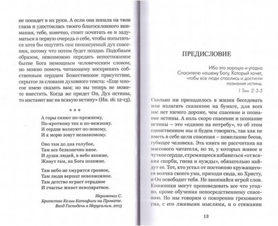 Свет неотмирный, или Молоко молитвы и твердая пища безмолвия. Иеромонах Симон (Безкровный)
