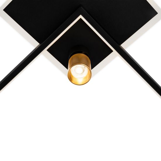 Потолочный светильник Freya FR6042CL-L76BBS