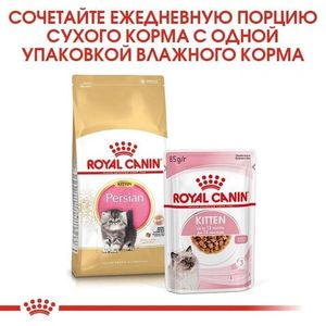 Корм для котят персидской породы, Royal Canin Persian Kitten