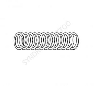 79 Inner piston spring for cartridges (2281)