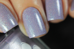 Swan Lake @fastenwithnails