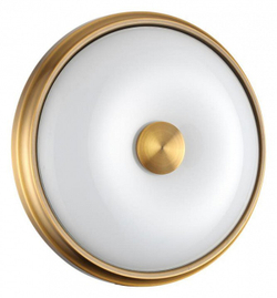 Накладной светильник Odeon Light 4956/2