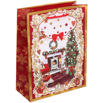 Пакет подарочный «Зимняя радость» 18*23*8 см, микс