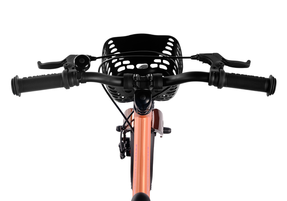 Maxiscoo JAZZ Pro 14'' (2025)