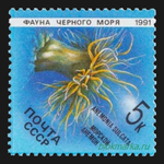 СССР 1991 г № 6279-6283 Серия Фауна Черного моря Чистая MNH **