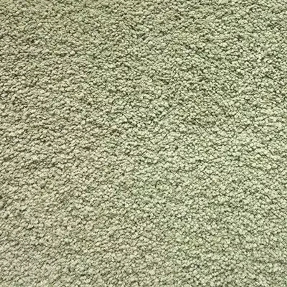 Ковровое покрытие Shaw Floors Cashmere IV 302