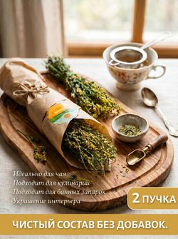 Мята длиннолистная пучок, 2 шт.