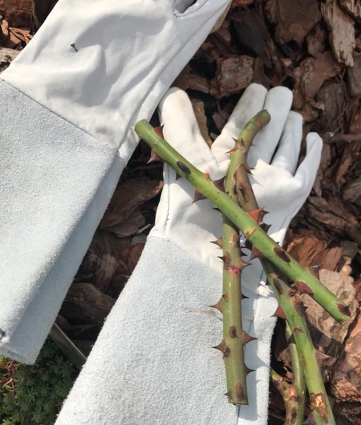 Перчатки размер 8 Закупка М26 получение март 2026