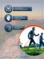 Палки для скандинавской ходьбы складные