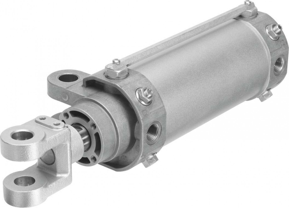 DW-80-100-Y-A-G Цилиндр на шарнирах