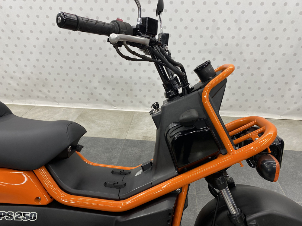 Honda PS250 Big Ruckus , 2006