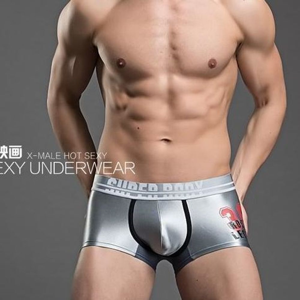 Мужские трусы хипсы серебристые Superbody 36 boxer silver