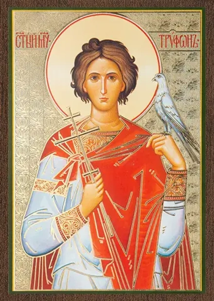 Икона "Трифон Апамейский" 6х9 на МДФ-6