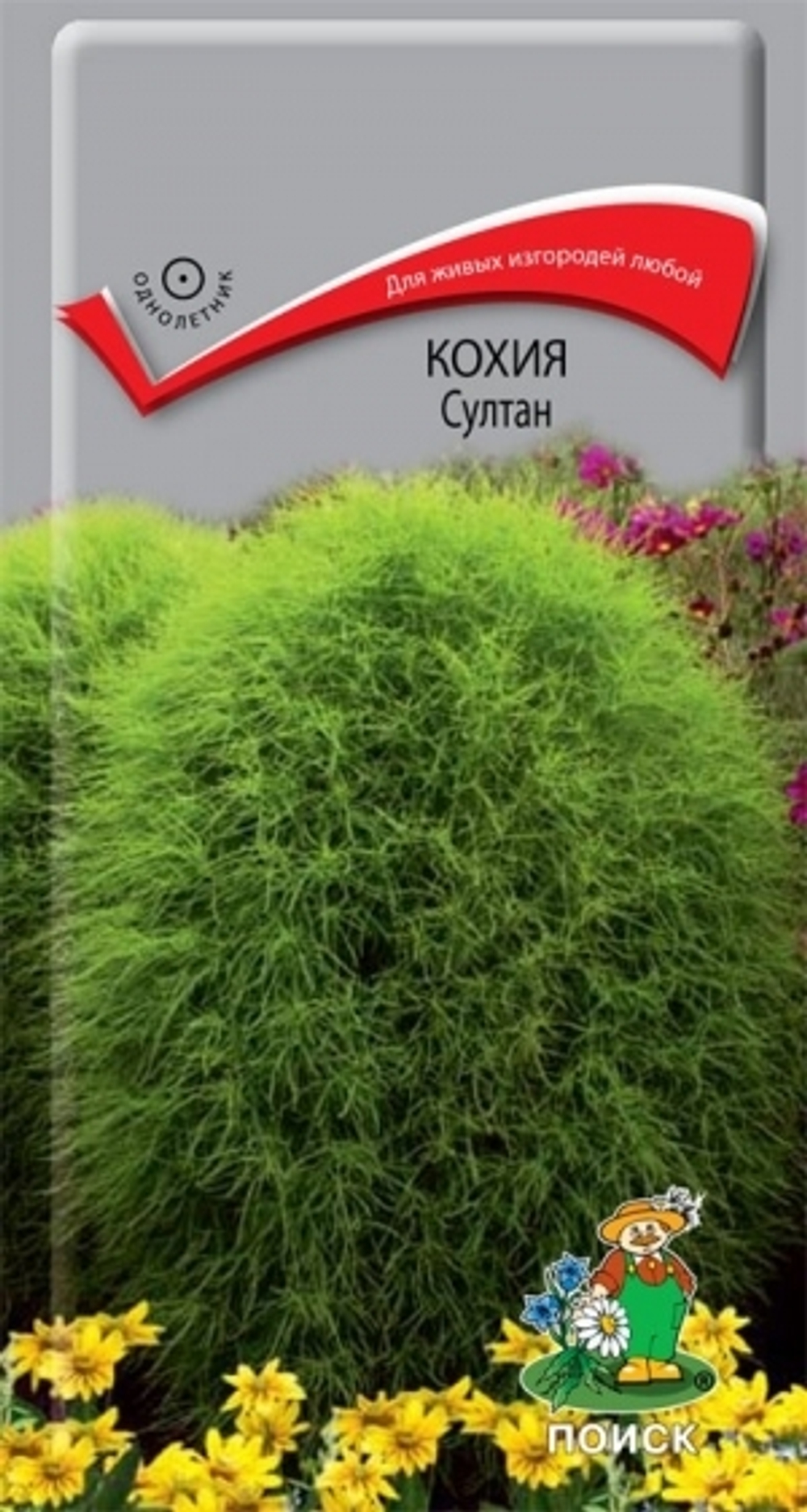 Цв. Кохия Султан 0,1г (Поиск)