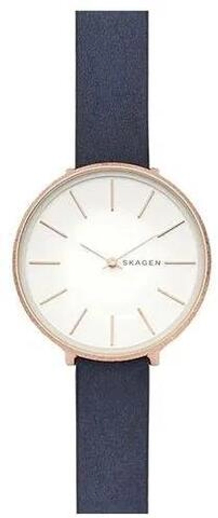 Женские наручные часы Skagen SKW2723