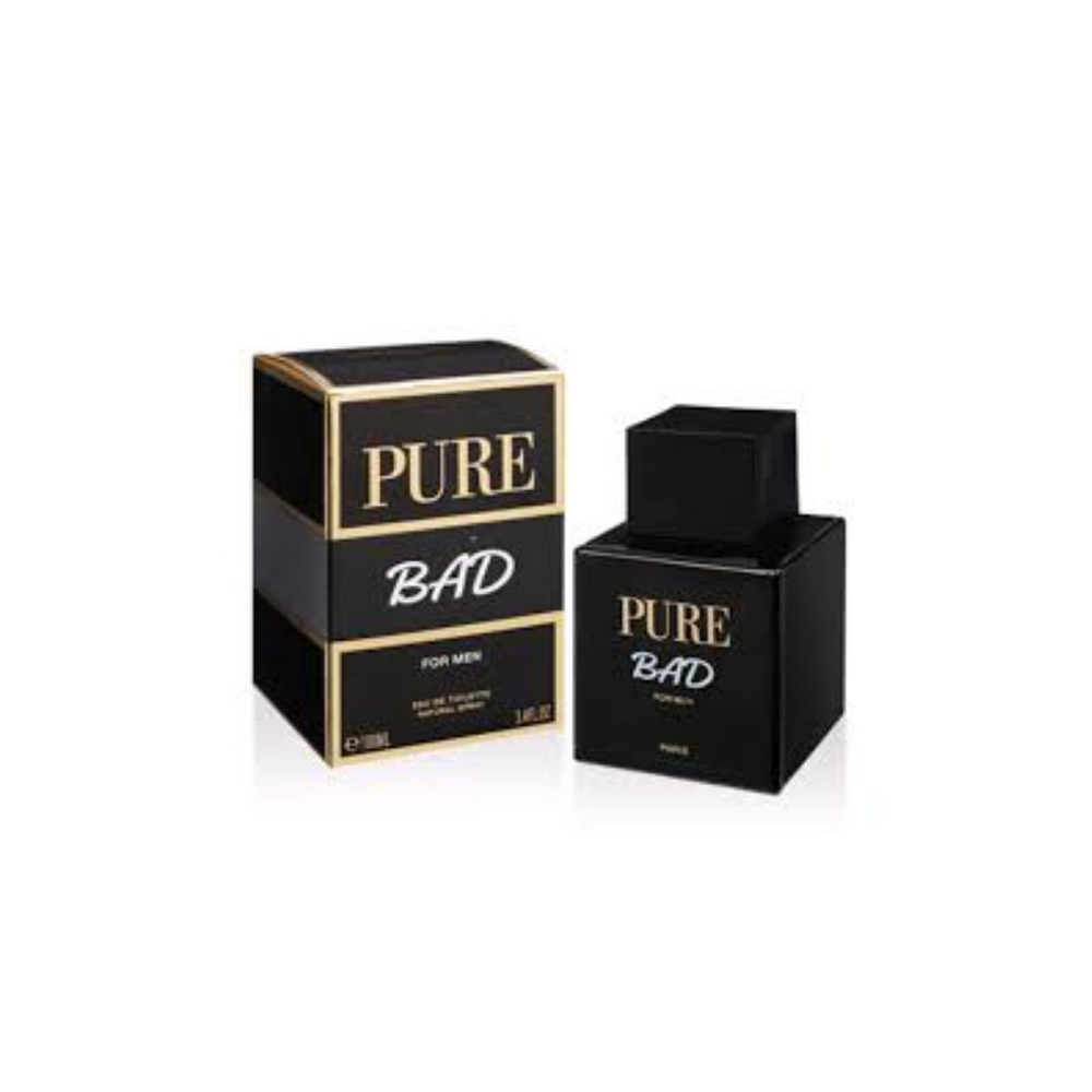 GEPARLYS Pure BAD edT 100ml men