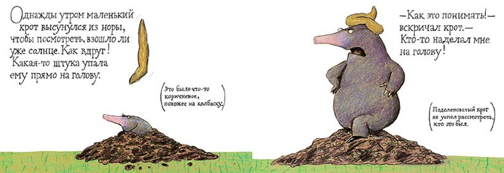 Маленький крот, который хотел знать, кто наделал ему на голову