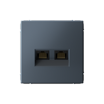 Розетка компьютерная 2-м ArtGallery RJ45 + RJ45 кат.5E механизм грифель SE GAL000785