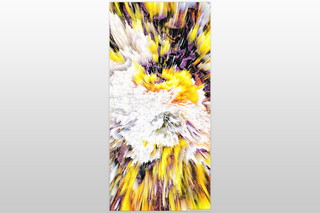 Цифровая печать Xpoint / Икспоинт. Арт панель 0843.01, 300х145 см