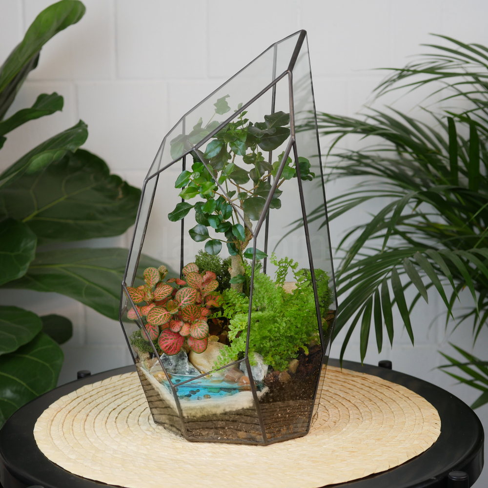 Готовый флорариум бонсай Лигуструм Скала с озером