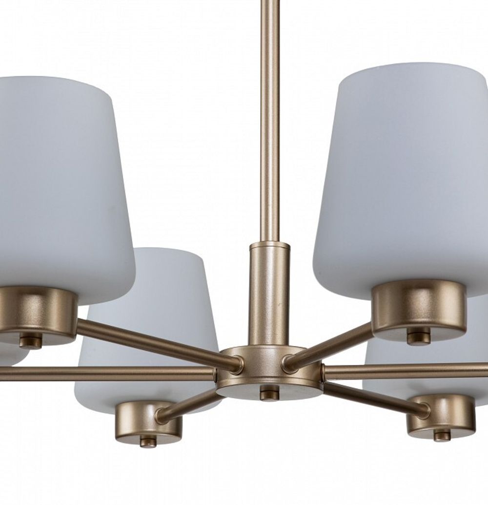 Подвесная люстра Indigo Tulip 13004/6P Gold