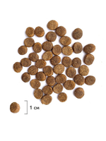 Сухой корм Brit Premium Adult Medium  для взрослых собак средних пород, 15 кг