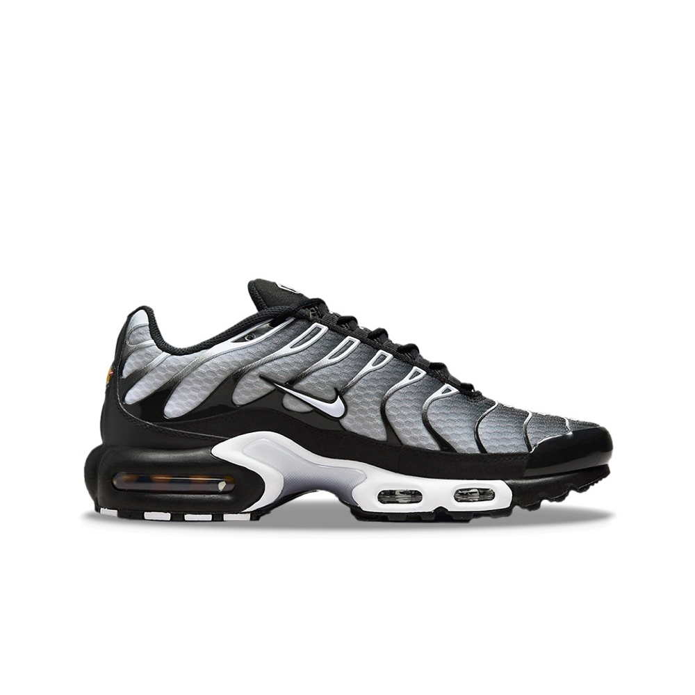 Nike Air Max Plus Black Silver White