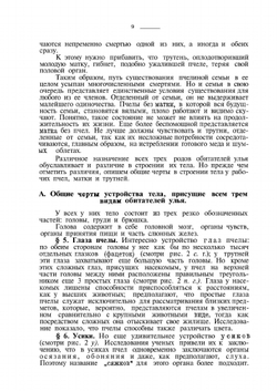 Самоучитель пчеловодства | А.С. Буткевич