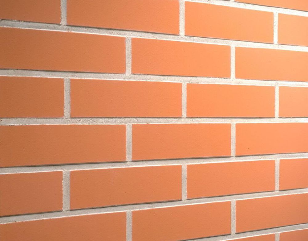 Feldhaus Klinker - R220NF9, Classic Terracotta Liso, 240x9x71 - Клинкерная плитка для фасада и внутренней отделки
