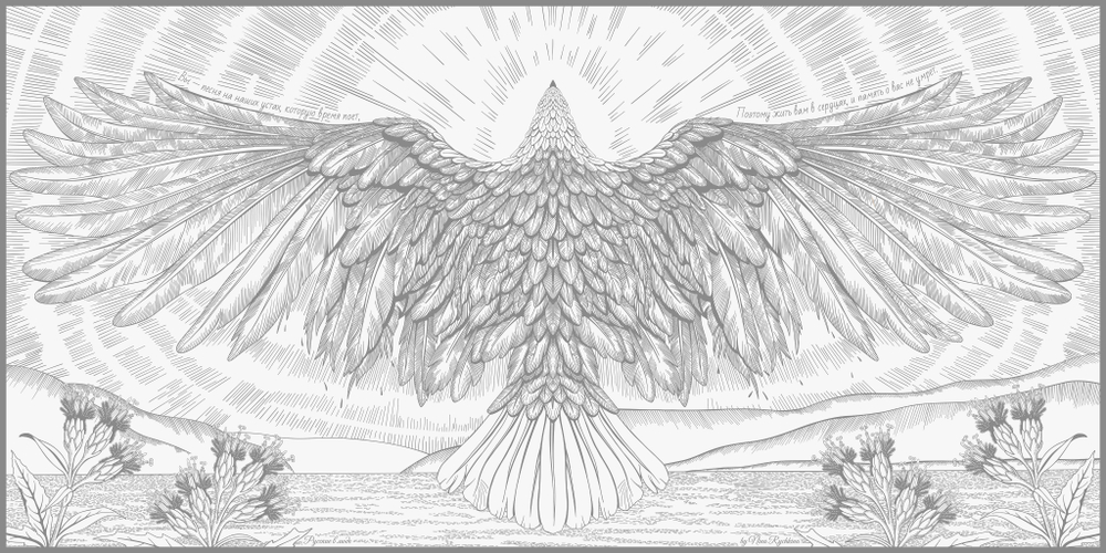 Шарф «Белохвостый орлан»